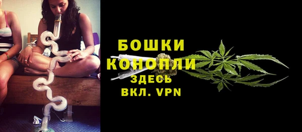 Альфа ПВП Богородск
