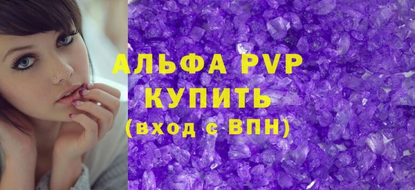 ГАЛЛЮЦИНОГЕННЫЕ ГРИБЫ Богданович