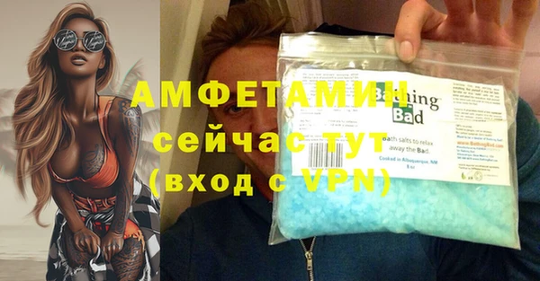 ГАЛЛЮЦИНОГЕННЫЕ ГРИБЫ Богданович