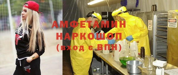 ГАЛЛЮЦИНОГЕННЫЕ ГРИБЫ Богданович
