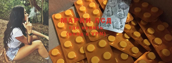 ГАЛЛЮЦИНОГЕННЫЕ ГРИБЫ Богданович