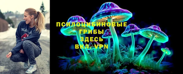 ГАЛЛЮЦИНОГЕННЫЕ ГРИБЫ Богданович