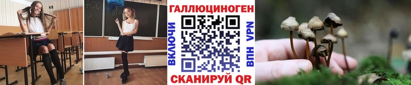 где найти наркотики  Берёзовка  Псилоцибиновые грибы MAGIC MUSHROOMS 